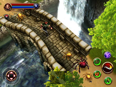 application Dungeon Hunter HD ipad