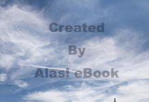application Flash Video Review