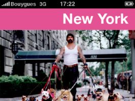 Application New York, Le Guide du routard