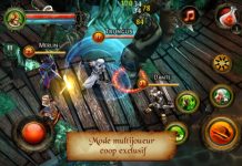 Application Dungeon Hunter 2 Baisse de prix !