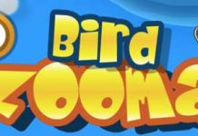 Bird Zooma : Un nouveau jeu d’oiseaux fous !