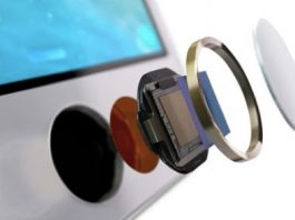 TSMC fournirait le Touch ID des iPhone 6, iPad Air 2 et iPad mini 3
