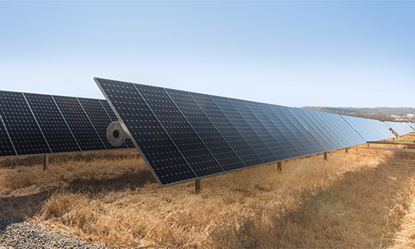 apple-affirme-travailler-a-energie-nette-zero-et-avec-des-produits-verts-dans-le-rapport-sur-​​la-responsabilite-environnementale