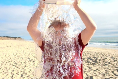 en-bref-tim-cook-participe-a-la-fete-de-als-charity-et-recoit-un-sceau-de-glace_1