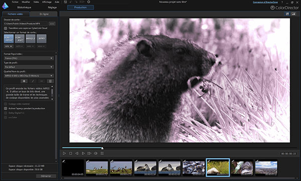 colordirector