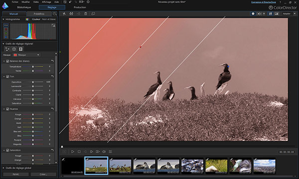 colordirector_2