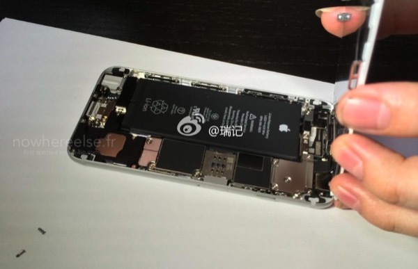 iphone-6-la-batterie-de-1810-mah-est-confirmee-apres-demontage_2