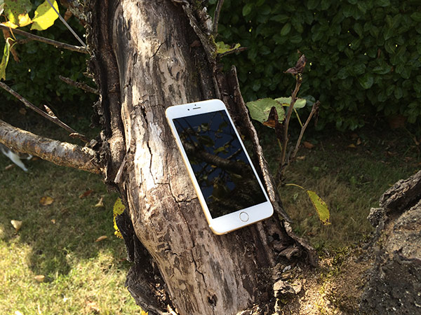 iphone-6-plus-nos-nouvelles-photos-en-situation-photos-prises-avec-l-iphone-6-plus_11