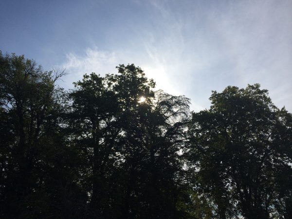 iphone5S-notre-comparatif-photos-entre-iphone-6-plus-iphone-5s-et-sony-z2_3