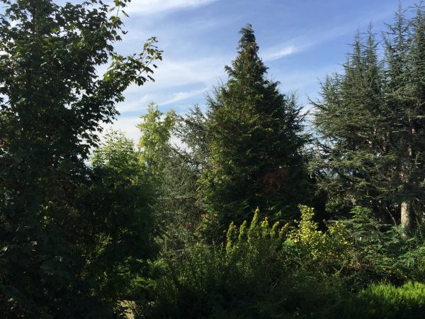 iphone6plus-notre-comparatif-photos-entre-iphone-6-plus-iphone-5s-et-sony-z2_5