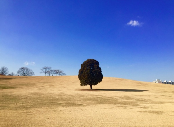 world-gallery-iphone-6_3