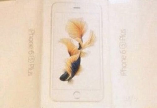 iphone-6s-fuite-du-packaging-et-deux-batteries-revues-a-la-baisse_2