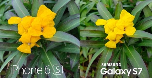 galaxy-s7-vs-iphone-6s-a-meilleur-appareil-photo