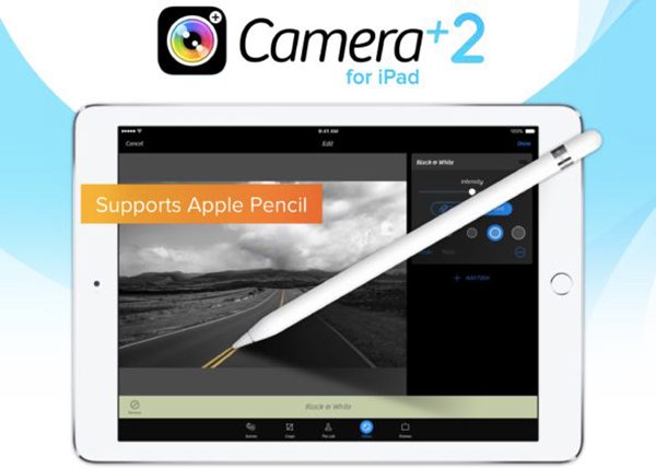 Camera-2.0-for-iPad-selective-brushing-teaser-593x424