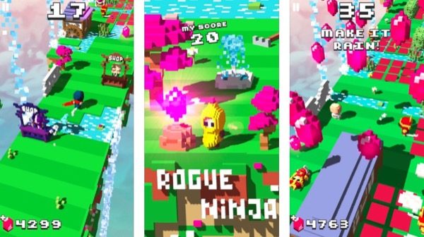 Rogue-Ninja