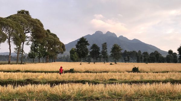 austin-mann-a-teste-iphone-7-7-plus-rwanda_2