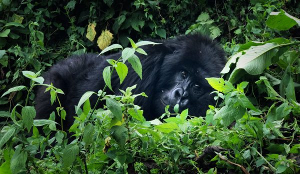 austin-mann-a-teste-iphone-7-7-plus-rwanda_4