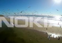 Microsoft confirme l’arrivée de deux smartphones Nokia sous Android début 2017