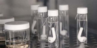 Apple a produit la sueur pour tester ses produits !