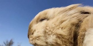 iPhone : Apple publie trois nouvelles publicités sous le soleil turque pour la fête des enfants
