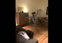 ARKit : que diriez-vous d'avoir un robot danseur dans votre salon ? [Vidéos]
