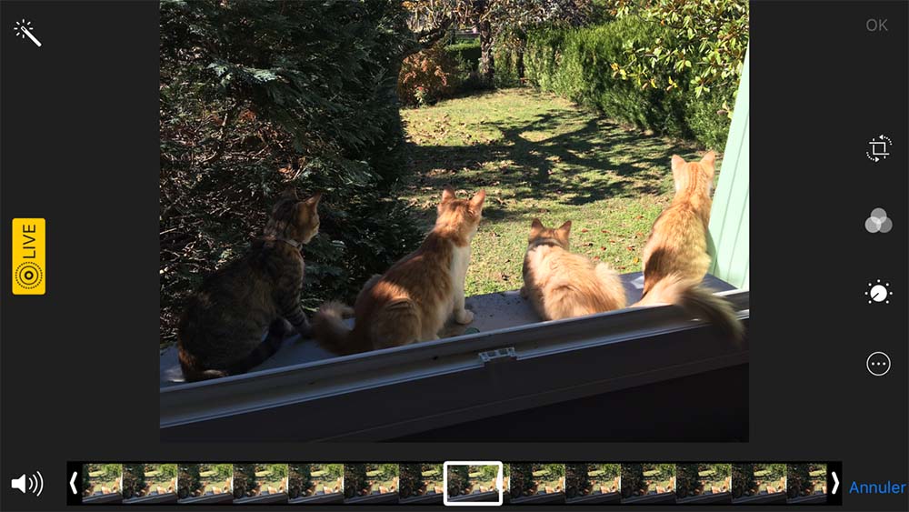 iOS 11 : plusieurs nouveautés pour les Live Photos [Vidéo]