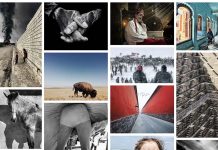 iPhone Photography Awards : voici les meilleures photos de 2017 !