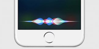 Siri VS Alexa : le clash est imminent !