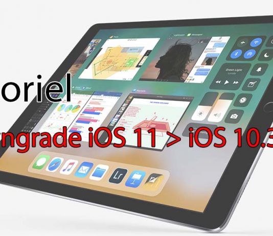 Tutoriel : comment downgrader iOS 11 bêta vers iOS 10.3.2 - iOS 10.3.3