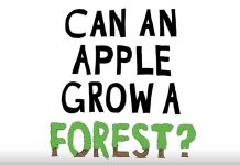 Apple annonce ses plans pour la protection des forêts [Vidéo]