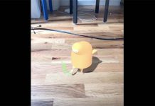 HTC Vive fonctionne aussi avec ARKit d'Apple [Vidéo]