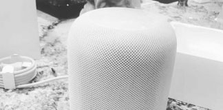 Le HomePod est déjà dans la nature avant son lancement officiel en décembre