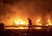Incendie Californie : Apple a fait un don d’un million de dollars Incendie Californie : Apple a fait un don d'un million de dollars