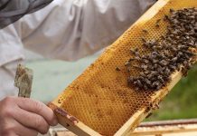 Nokia : iOS est le système d'exploitation mobile le plus sûr !