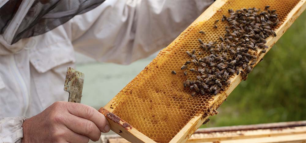 Nokia : iOS est le système d'exploitation mobile le plus sûr !