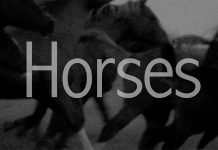 Apple publie la bande annonce du documentaire « Horses: Patti Smith and Her Band »
