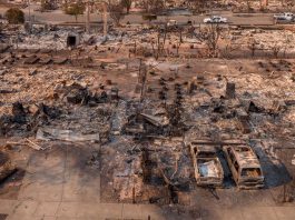 Losing Earth : une future série Apple basée sur l’article du New York Times