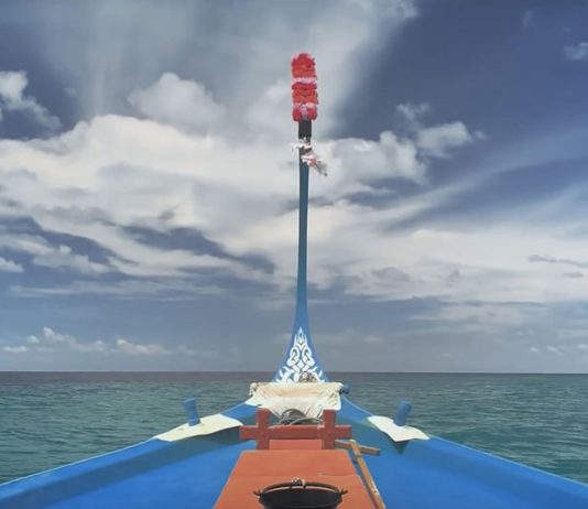 Shot on iPhone XS : nouvelle vidéo des Maldives avec des requins