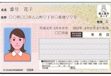 Sous iOS 13, l’iPhone pourra analyser les puces NFC des cartes d’identité japonaises