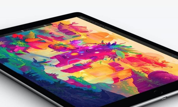 Procreate 5