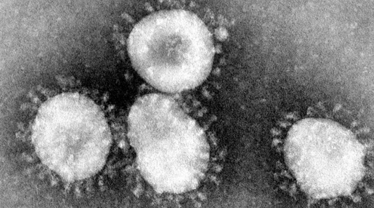 apple-don-coronavirus