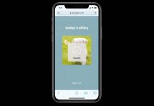 Safari 14 supporte Face ID et Touch ID pour la saisie de mots de passe