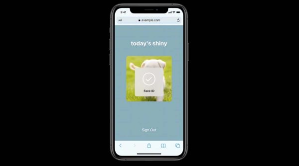 Safari 14