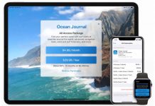iOS 14 : Apple introduit des codes de réduction pour les abonnements