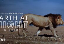 Earth At Night In Color, découvrez en vidéo le prochain docu Apple TV+ Earth At Night In Color Apple Tv