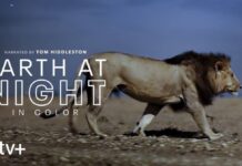 Apple dévoile les coulisses de « Earth at Night in Color » Earth At Night In Color