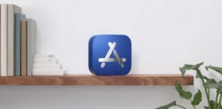 App Store Record Revenus 2020