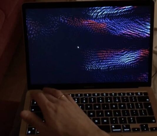 Bug Mac M1 Ecran Veille