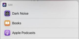 Siri Default Music Ios 14 5 Beta 2