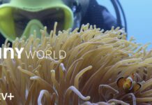 tiny world saison 2